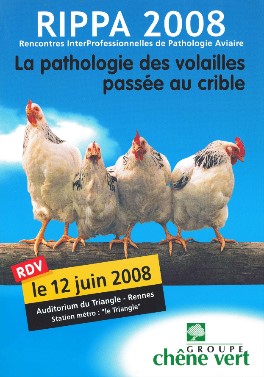 affiche RIPPA 2008