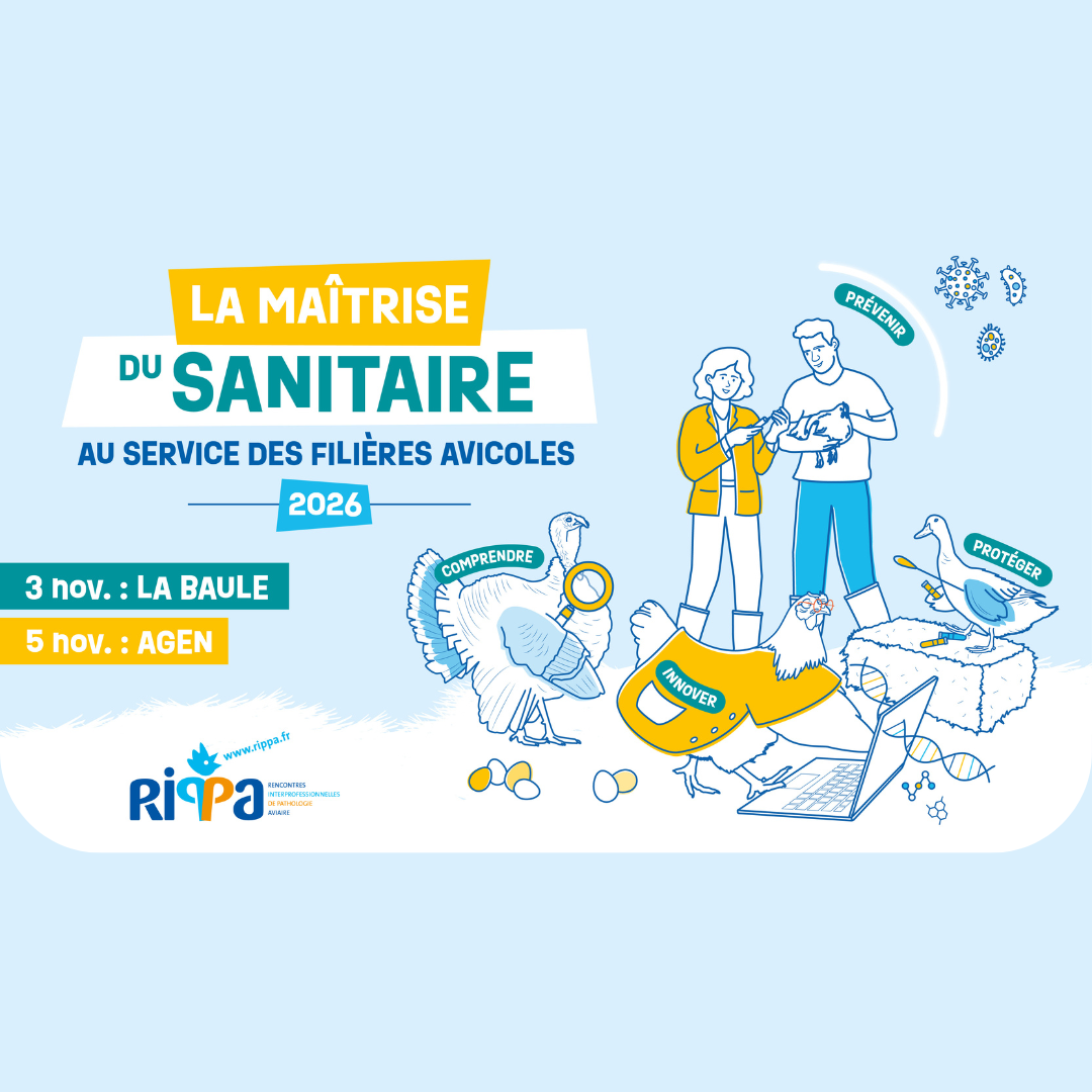 Design sans titre (12)