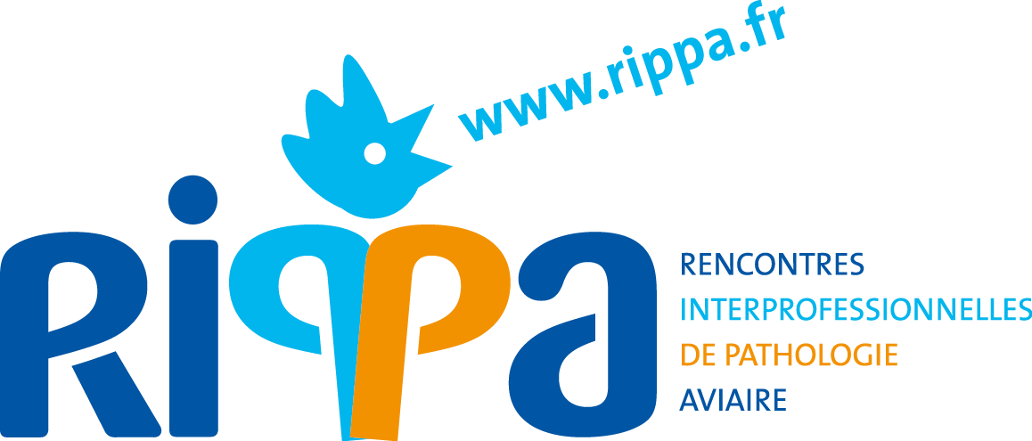 logo_RIPPA quadri 110X110