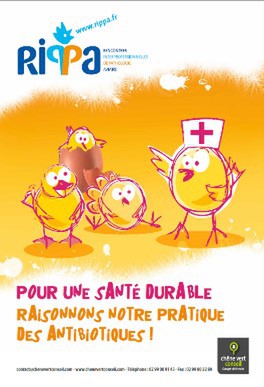 affiche RIPPA 2012